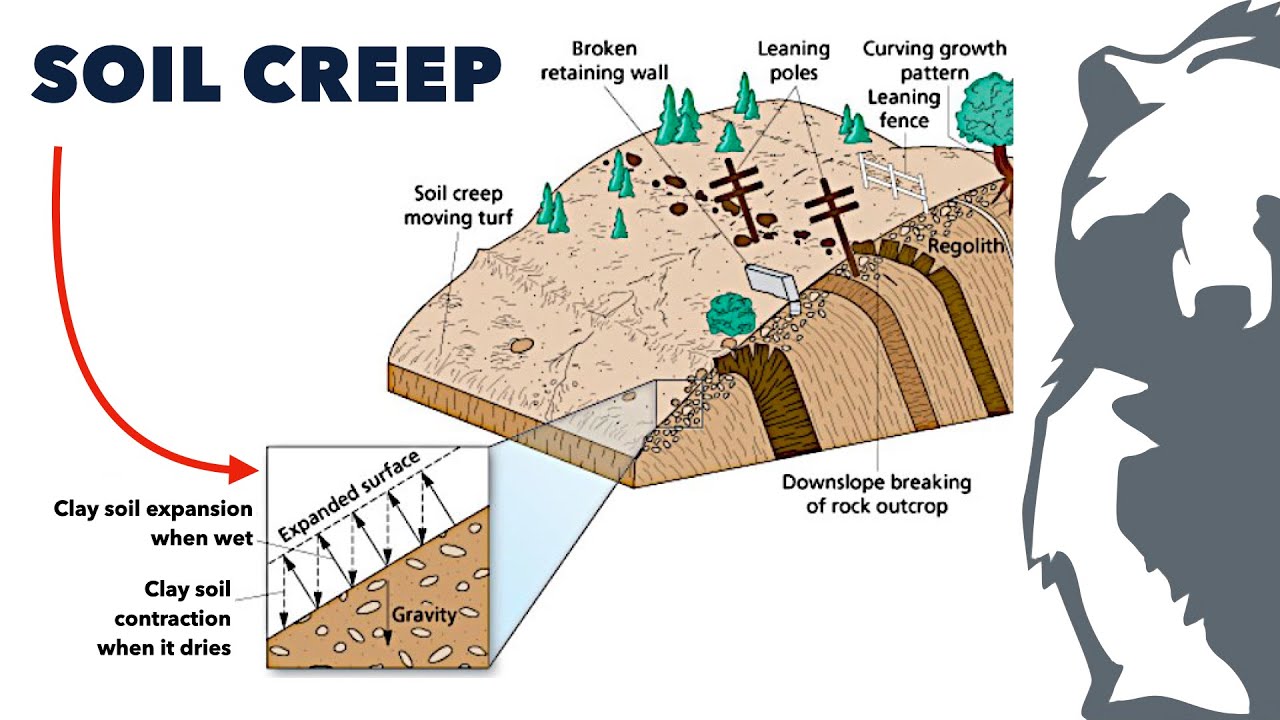 Causes of Foundation Settlement