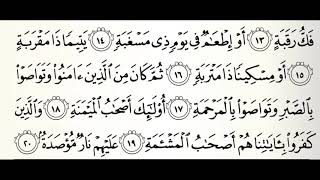 سورة البلد القارئ شيرزاد عبدالرحمن طاهر