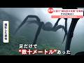 【新作】巨大生物にまつわるニュースがツッコミどころ満載だったwwwwww 【なろ屋】【ツッコミ】