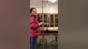 Simple Harmonic Motion demonstration