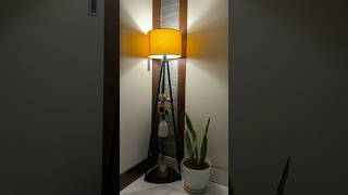 3-in-1 Floor Lamp: Light, Storage &amp; Style! | Comment for Links