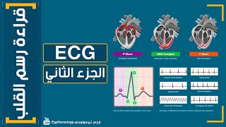 شرح قراءة رسم القلب | (ECG) الجزء الثاني - EgyNursology