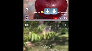 ترند العسل المثلج ❄️ #ترند_تيك_توك