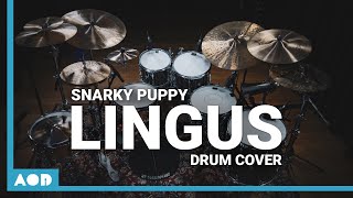 Lingus - Snarky Puppy Drum Cover By Pascal Thielen