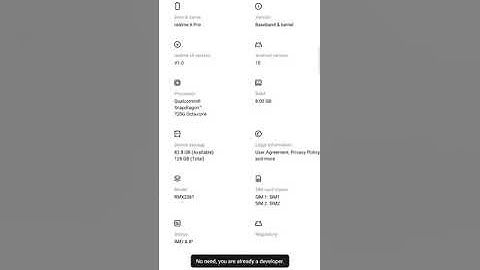 How To Enable Developer Options for Realme 6 Pro