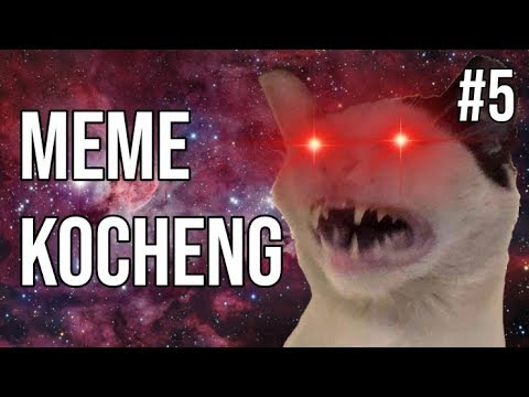 kocheng-oren-bar-bar-2.0-!-meme-kucing-#5