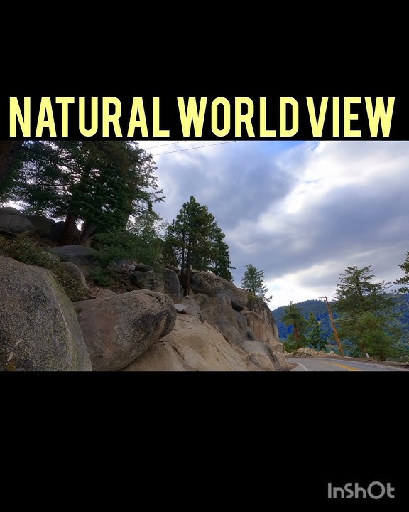 Arabic Ringtone on Natural Worldview1122