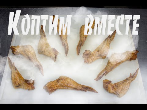 Video: Bir Toyuğun Dərisi Necə