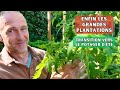 Plantation du potager dt  tomates  compagnie 