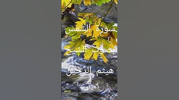 سورة الشمس بصوت الشيخ هيثم الدخين #قران_كريم #تلاوة_خاشعة #راحة_نفسية #متابعة_لايك #اكسبلور #ترند