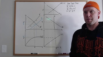 RBC Shocks 2/4: Labor Supply Shocks
