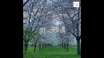 سورة الناس  ( بصوت جميل  جدا  يريح  القلب  والروح  )