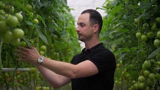 From Roots to Data: The Breugem Horticulture Story