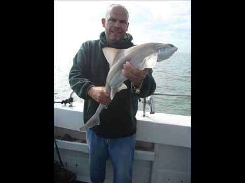 UK fishing Forums Sea fishing Social