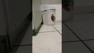 se eu fosse formiga