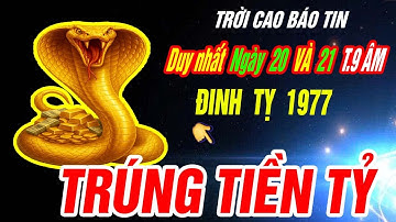 THẦN TÀI BÁO MỘNG Tuổi ĐINH TỴ 1977 TRÚNG SỐ ĐỘC ĐẮC CỰC GIÀU CÓ đúng 2 ngày duy nhất