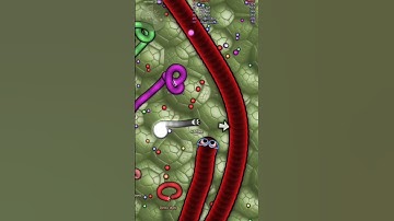 Pretending to be NTL Bot and kiling big snakes. #slither #slitherio #games #game