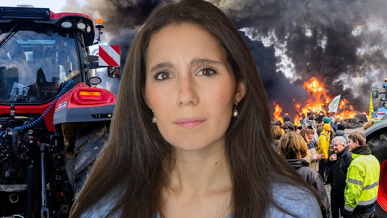 Ma perché gli agricoltori protestano?