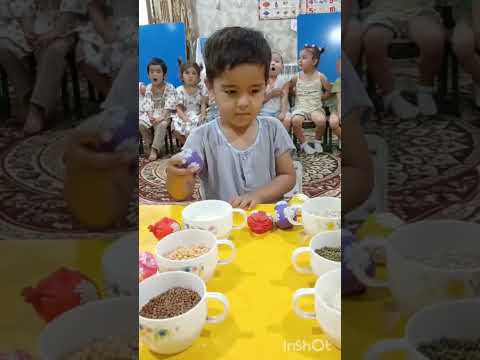 Aql mashqi