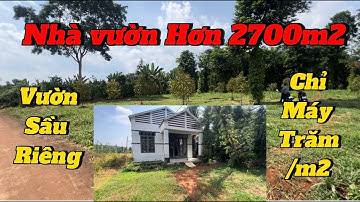 nhà vườn hơn 2700m2 có vườn cây ăn trái ở BR-VT. ngộp bank anh huy cần bán gấp để xoay sở công việc