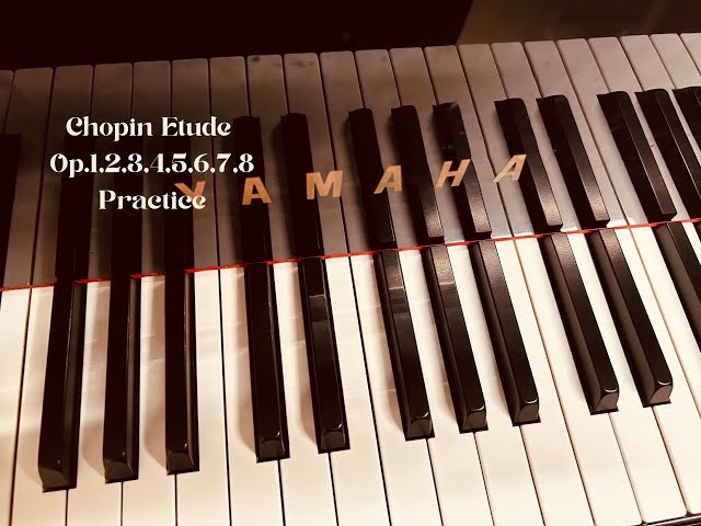バイオリン学習者用エチュードの演奏すべて Chopin Etude Op.10-1,2,3,4,5,6,7,8 etc Practice【Day 23,25