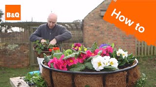 How to plant a hanging basket