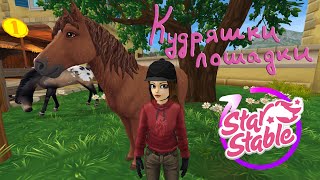 |Star Stable Online| - Update!!!Котики икудрявые лошадки!