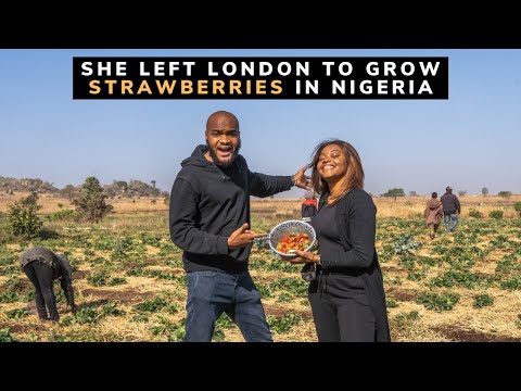 She left the UK to be a Strawberry Farmer in Nigeria.