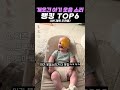 개웃긴 아기 웃음 소리 랭킹 TOP6