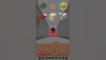 MINECRAFT : FALL DAMAGE VS BLOCK