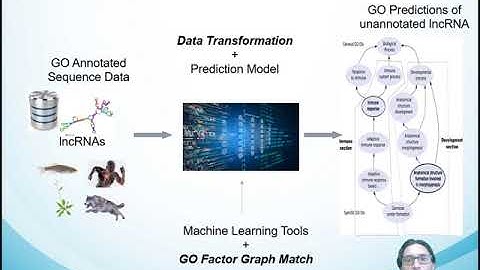 Automatic GO annotation of Long Non-coding RNAs - Flavio Spetale - Talk - ISCB-LA 2020