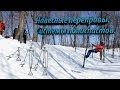 Навесные переправы. Полиспаст. Системы полиспастов