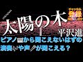【音の錯覚】太陽の木/平沢進(リクエストありがとうございます)