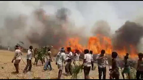 Wheat Crop catch a vast fire in Barabanki