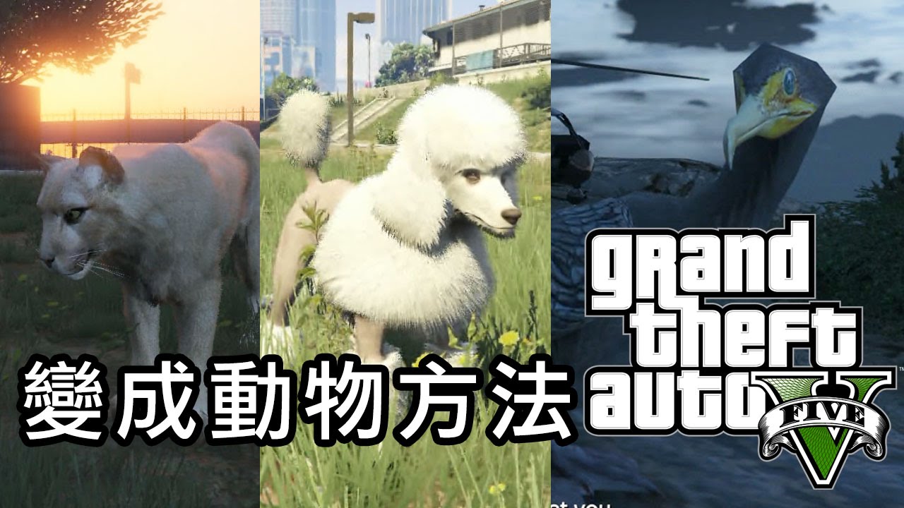 超有趣模式 教你在gta V 世界變成動物 Ps4 Xbox One Youtube