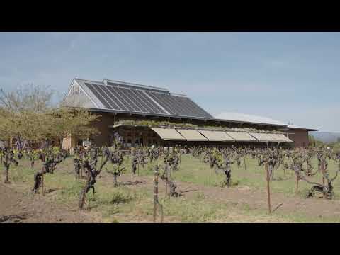 Video: Pengubahsuaian Rumah Lestari Menghadap Kebun Anggur Sonoma, California
