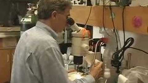 Understanding Embryonic Stem Cells Part 1 of 6