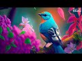 Relaxing Piano Music With Beautiful Bird Sounds for Sleeping, Meditation, Yoga, Study, Work