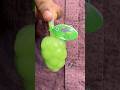Grapes 🍇 | #funny #ytshorts #comedy #food #youtubeshorts #shorts #short #love #viral #trending #yt