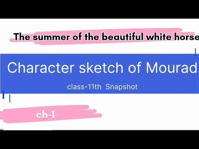 The Summer of the Beautiful White Horse Extra Questions and Answers Class  11 English Snapshots – Learn Cram
