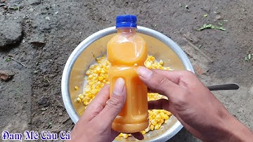 Cách ủ Bắp Câu Cá Chép, Cá Trắm, Hiệu Quả - Dễ Làm | Phần 1 | Bài Mồi Mới | 24-11-2022