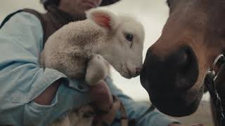 Theory | Good Wool, Beaufont Sheep Farm in Ross, Tasmania