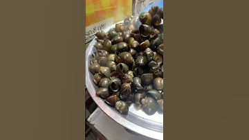 Ốc bưu hấp tiêu#Ôc lác#cooking #funny #shorts