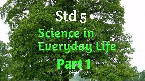 5th Science Lesson 4 Science in Everyday life (part 1)with demonstration