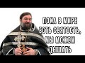 Пока есть монашество - есть будущее! Протоиерей  Андрей Ткачёв.