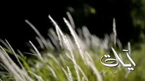 آيات من سورة الحج القارئ عمر النبراوي