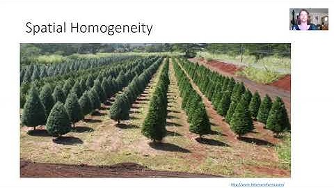 Spatial Heterogeneity