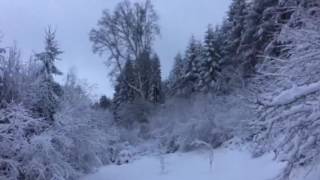 Qarlı Səhər Belçika.