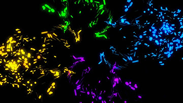 Audio React | Adobe After Effects - Trapcode Particular (HD 1080)