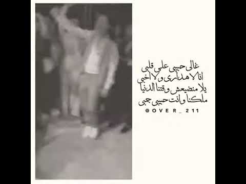 حالات واتس غالي حبيبي ع قلبي محمد حماقيي